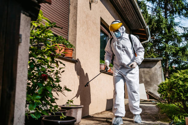 Best Pest Removal Services  in August, CA