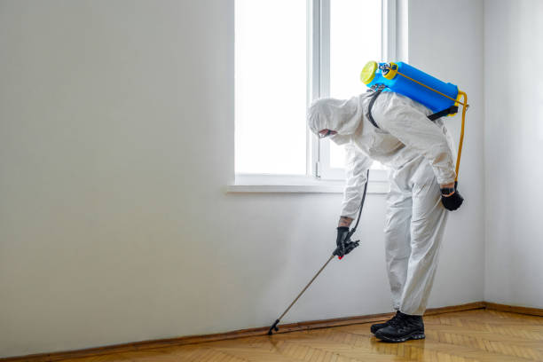 Best Pest Inspection Near Me  in August, CA