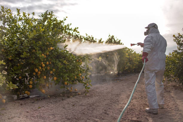 Best Bird Control  in August, CA