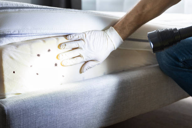 Best Residential Pest Control  in August, CA