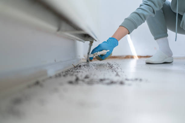  August, CA Pest Control Pros